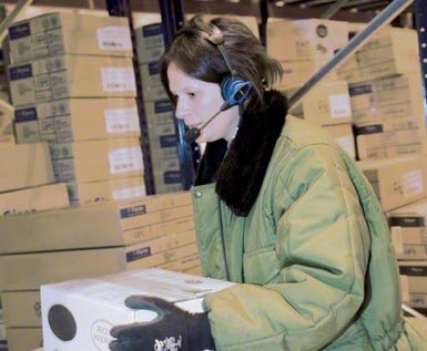 Sistema voice picking aplicado a um centro logístico automatizado de armazenagem e distribuição de produtos congelados